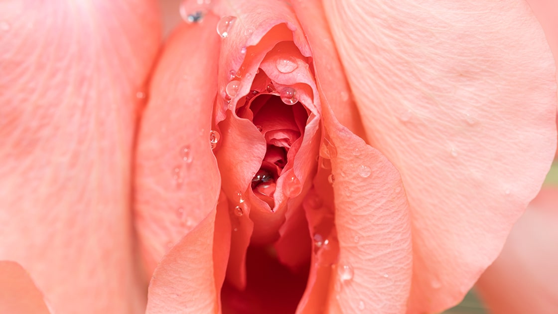 Lima Fakta Menarik Mengenai Klitoris Perempuan dan Alat Kontrasepsi Terbaik untuk Merangsangnya